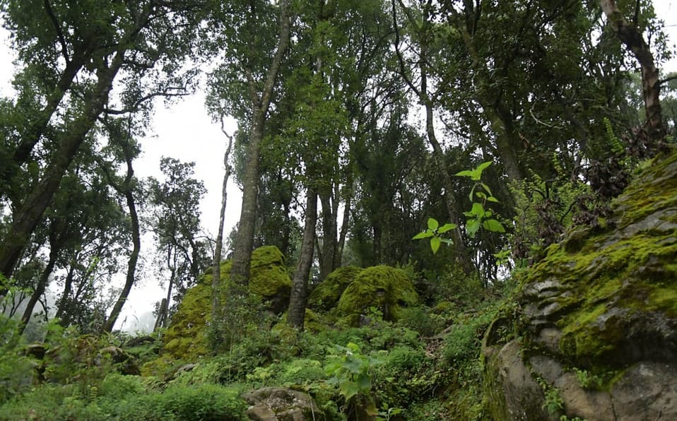 Aventura en la Naturaleza y Cultura de Irapuato, Guanajuato