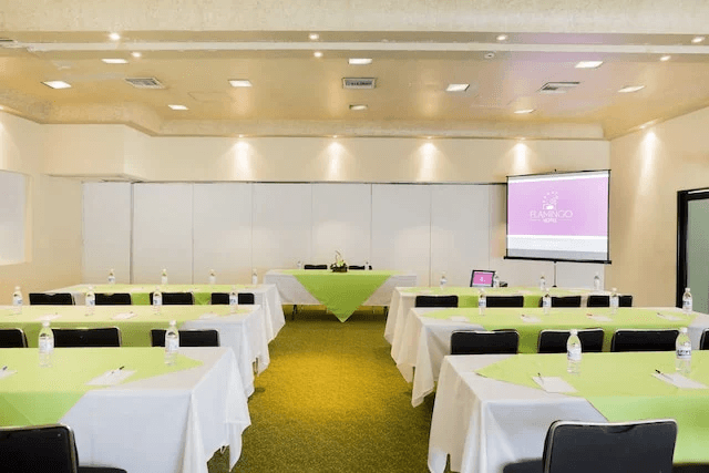 Hotel Flamingo Irapuato imagen 1